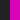 Noir / Fuchsia